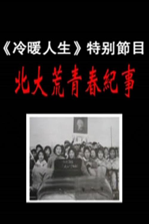 青春纪事海报